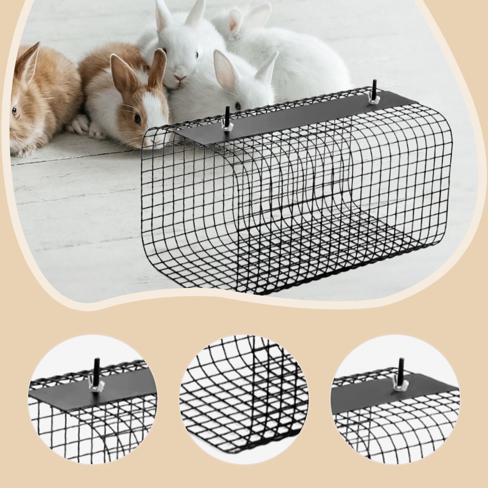 Túnel y escondite para hurones - Rabbit Cage Wire reseña y precio
