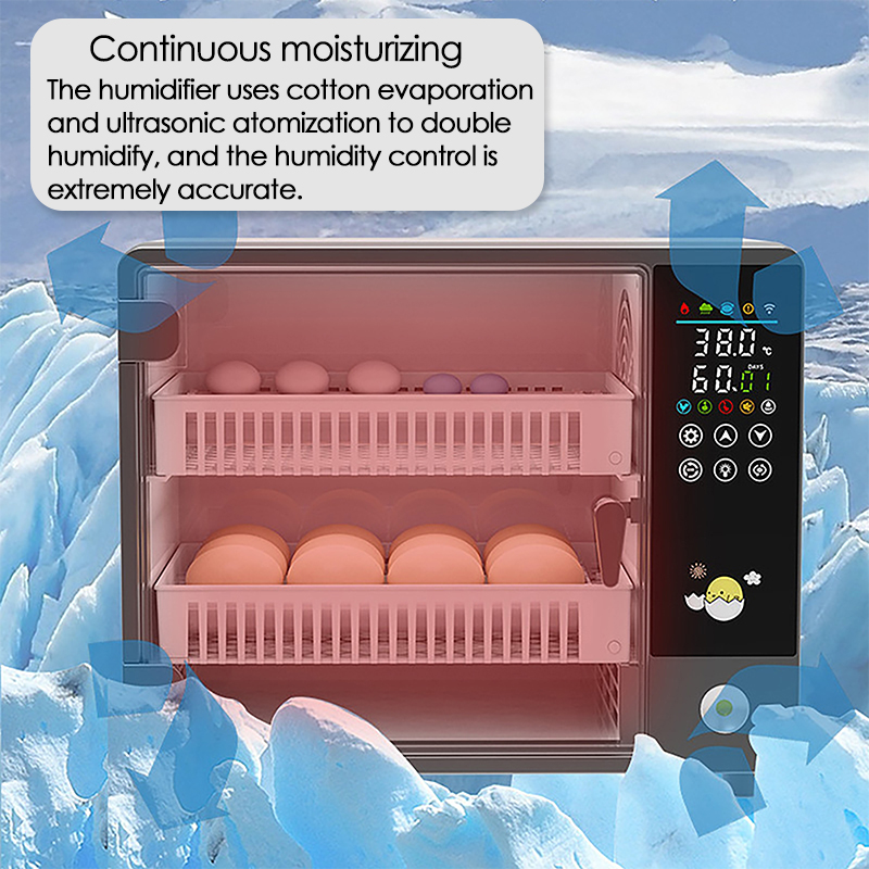 Incubadora de huevos giratoria - Poultry Incubator reseña y precio