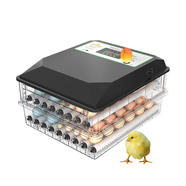 Incubadora de Huevos Automátic - Poultry Incubator reseña y precio