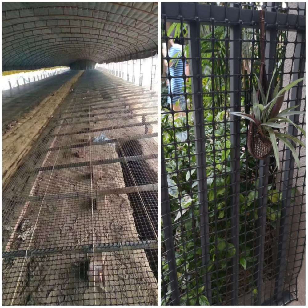 Malla de celosía de jardín, ma - Rabbit Cage Wire reseña y precio