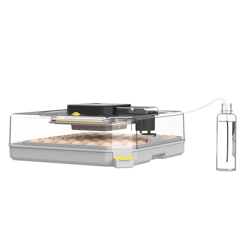 Máquina Incubadora de Codornic - Poultry Incubator reseña y precio