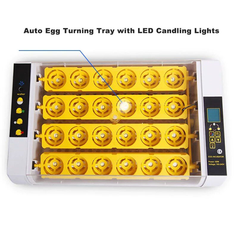 Incubadora de Huevos Totalment - Poultry Incubator reseña y precio