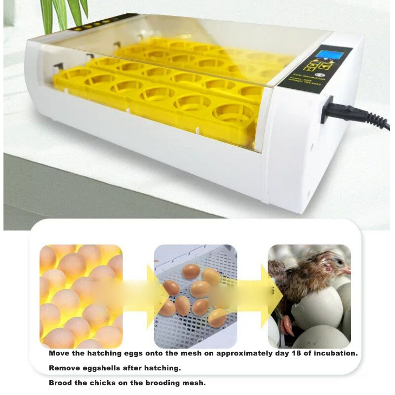 Incubadora de Huevos Totalment - Poultry Incubator reseña y precio